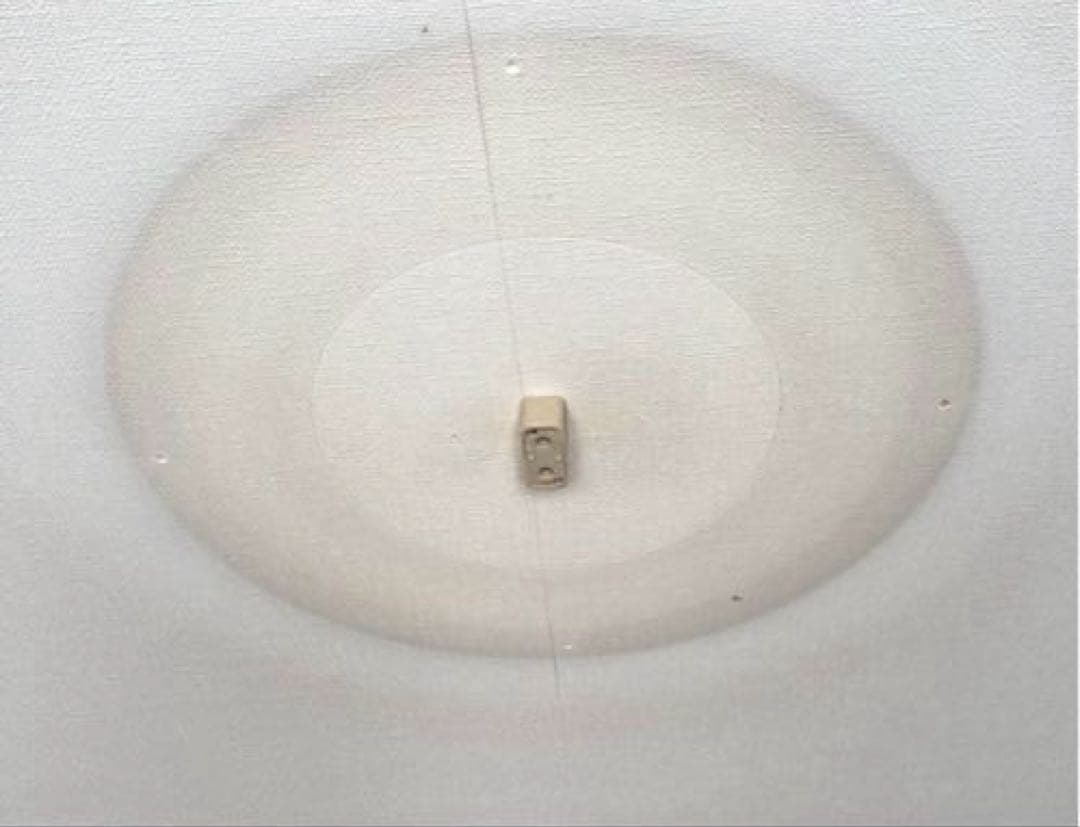 LIMBURG/リンブルグ/天井照明 【メルカリ便発送】 - メルカリ