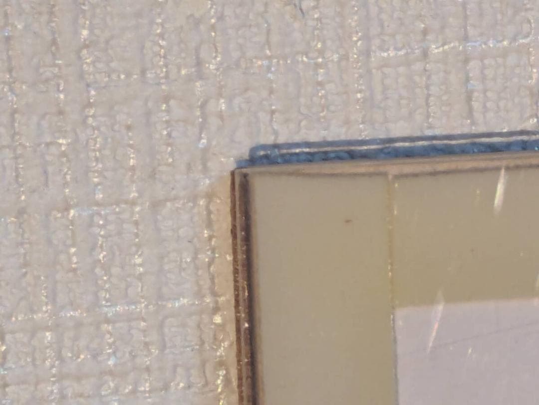 真作】版画 木版画 扇魚 ユーモラスな魚モチーフ 個性あふれる魚たち