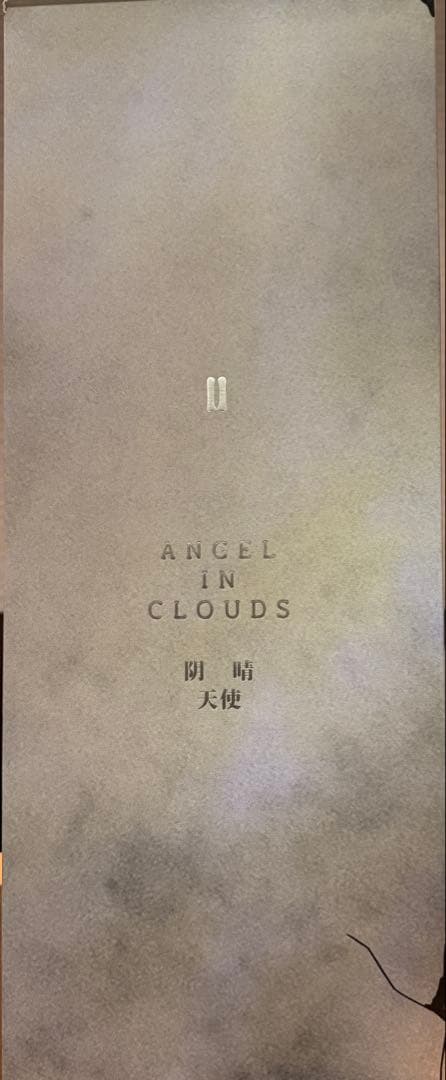 (正規品］ANGEL IN CLOUDS ぬいぐるみ