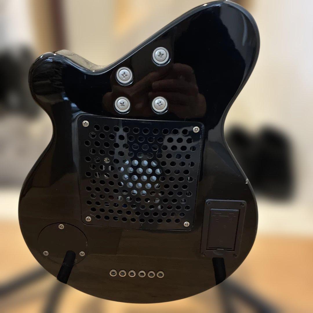 ピグノーズPGG200 サンバースト - メルカリ