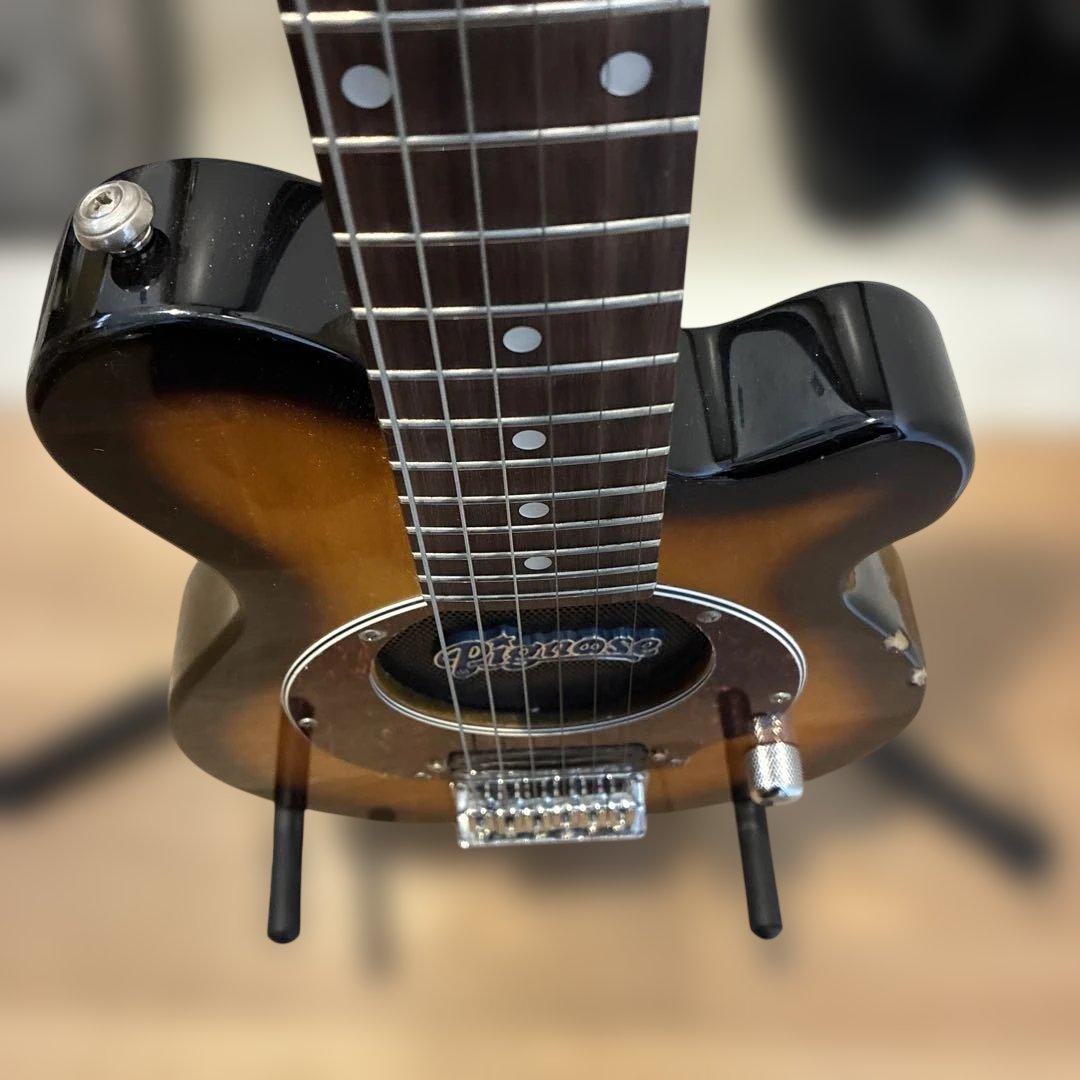 ピグノーズPGG200 サンバースト - メルカリ