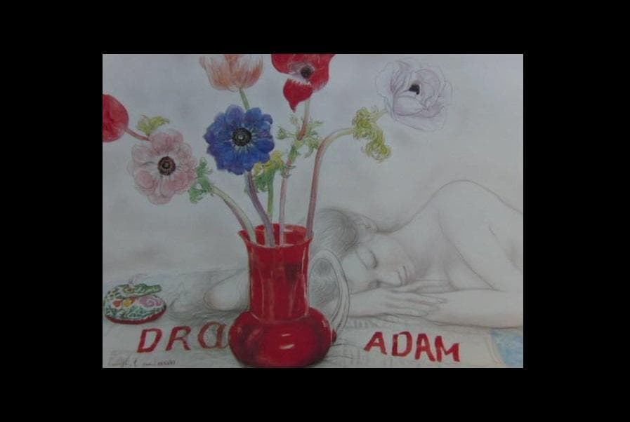 古沢岩美、アネモネ 1988、希少画集画、新品額装付