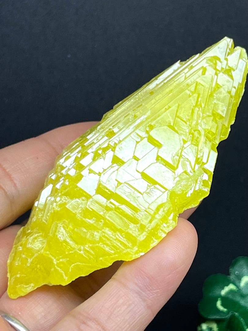 エレスチャル様⭐️2078