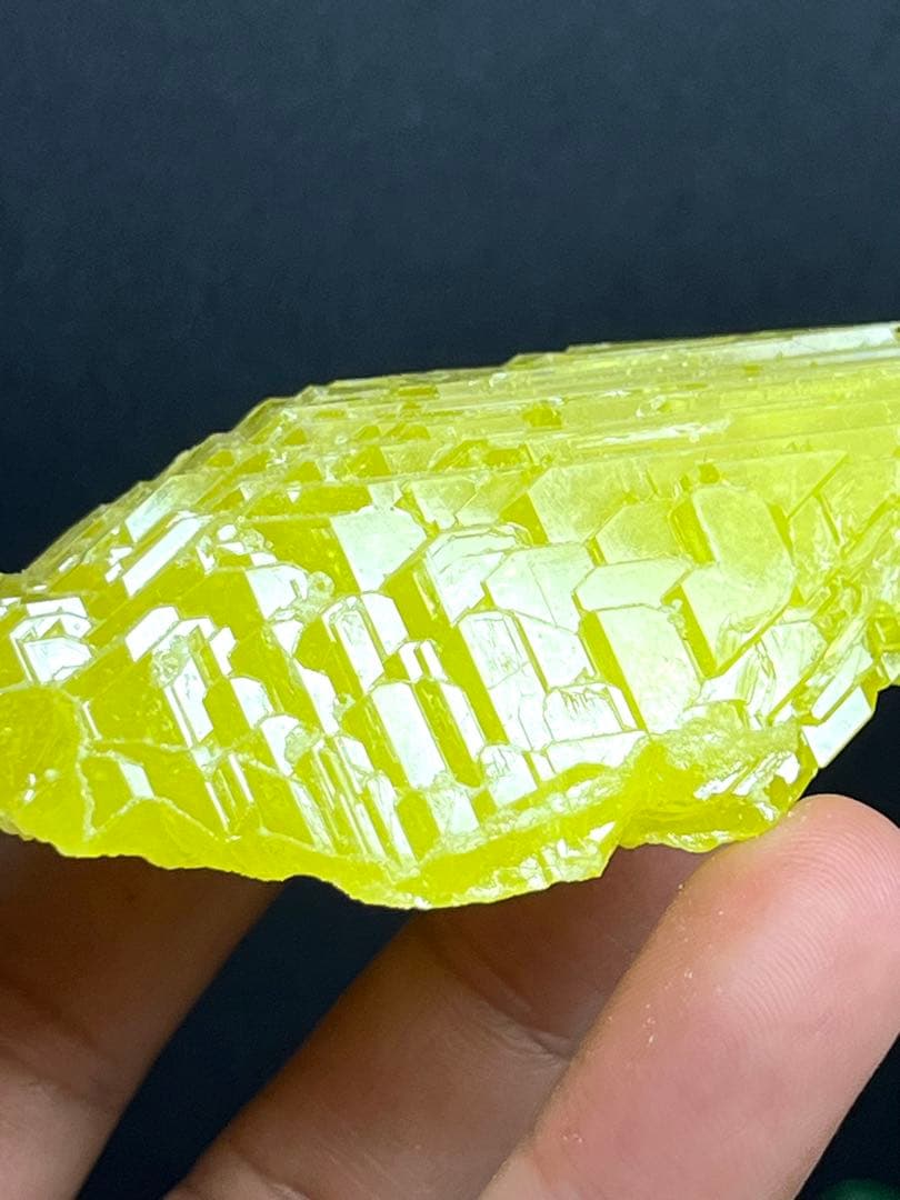 エレスチャル様⭐️2078