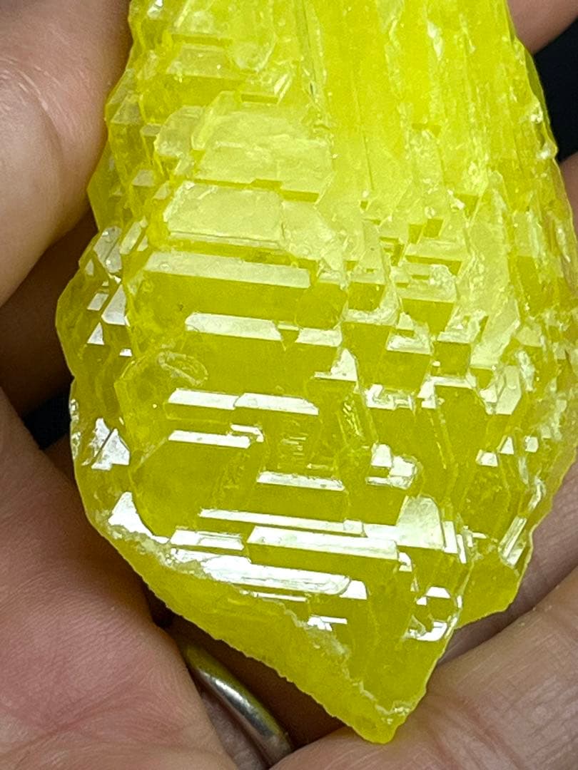 エレスチャル様⭐️2078