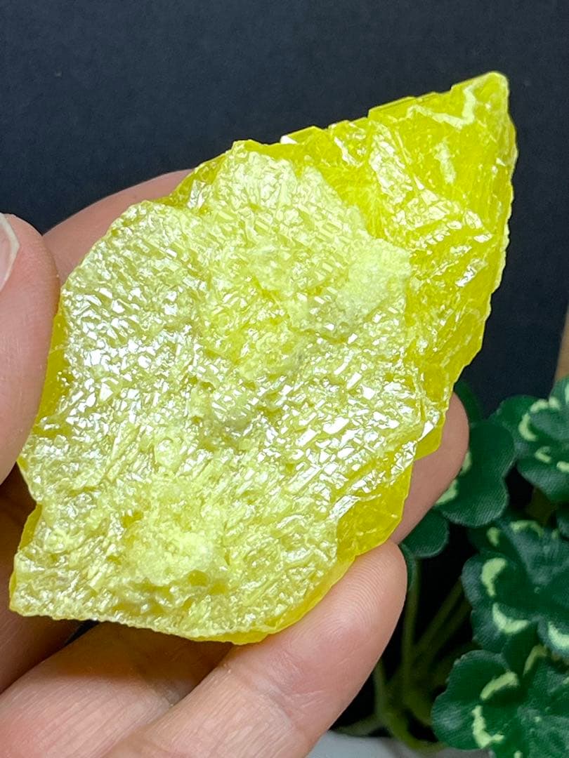 エレスチャル様⭐️2078