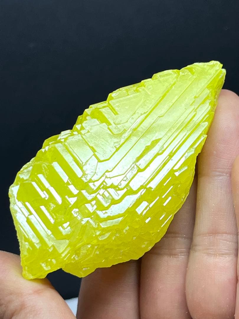 エレスチャル様⭐️2078