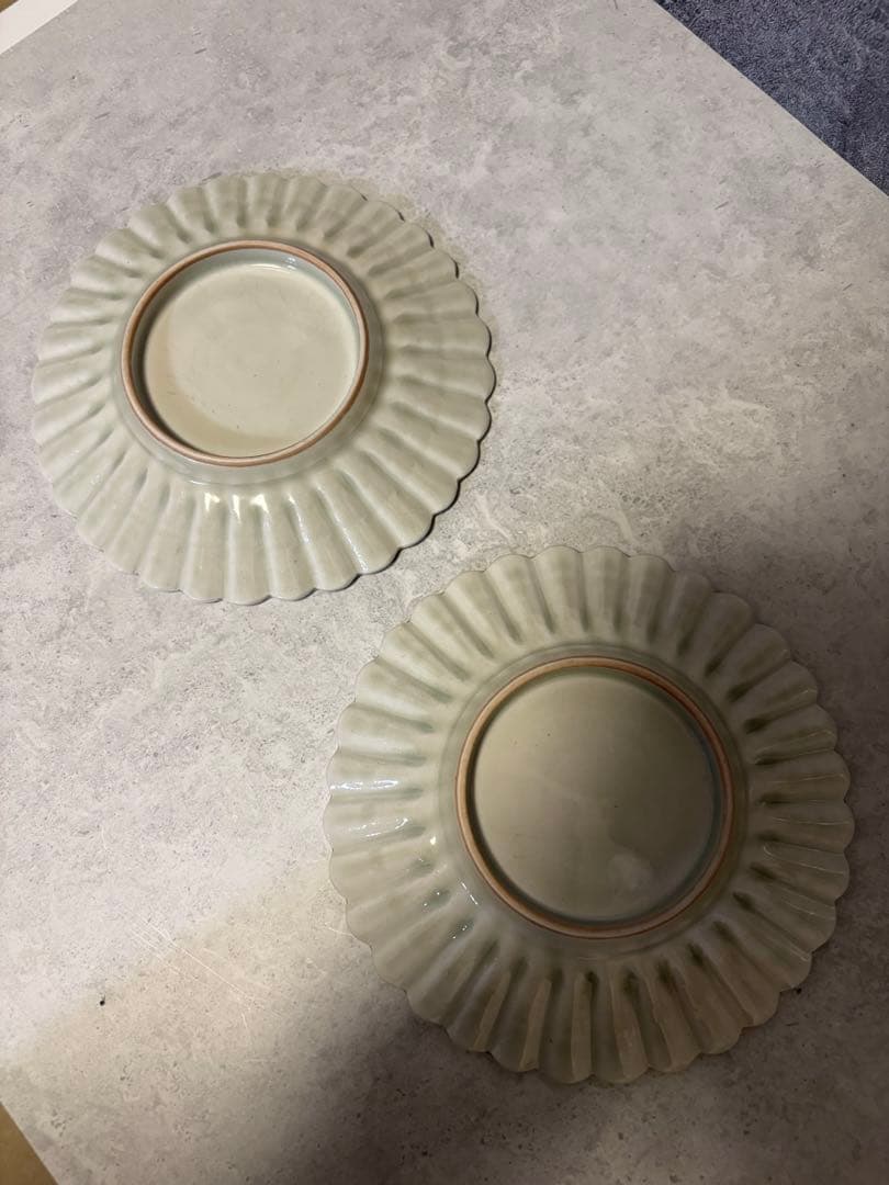 鈴木まどかさん　皿　安南手　白磁　16cm