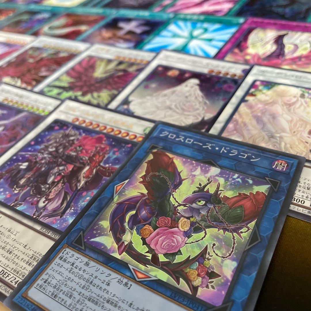 本格構築 ローズドラゴンデッキ レッドローズドラゴン 黒薔薇の破滅竜