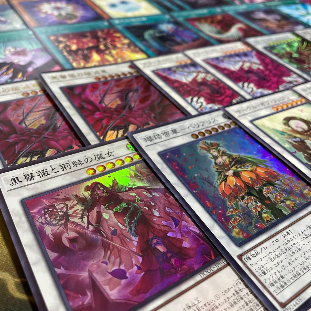 本格構築 ローズドラゴンデッキ レッドローズドラゴン 黒薔薇の破滅竜