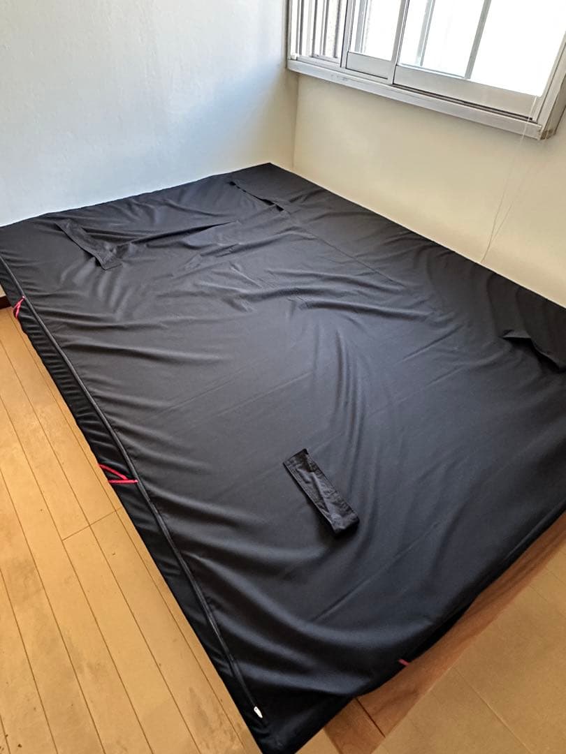 西川 [ AiR SI ]マットレス／Regular／ダブル