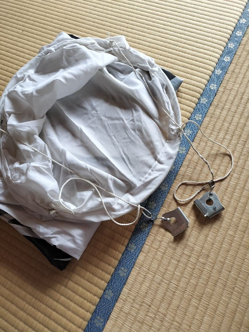 ゴールデン金太郎鯉　６m