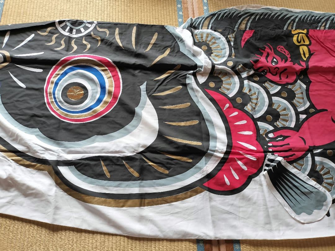 ゴールデン金太郎鯉　６m