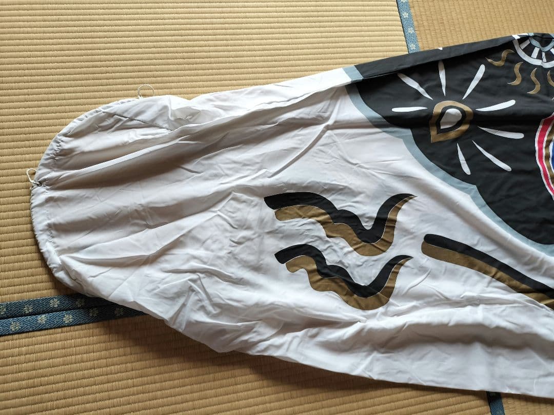 ゴールデン金太郎鯉　６m