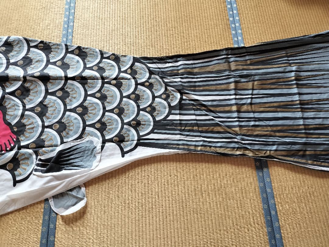 ゴールデン金太郎鯉　６m