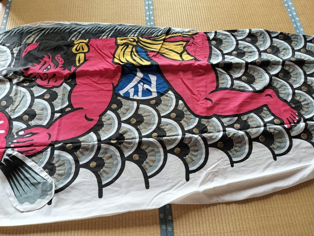 ゴールデン金太郎鯉　６m