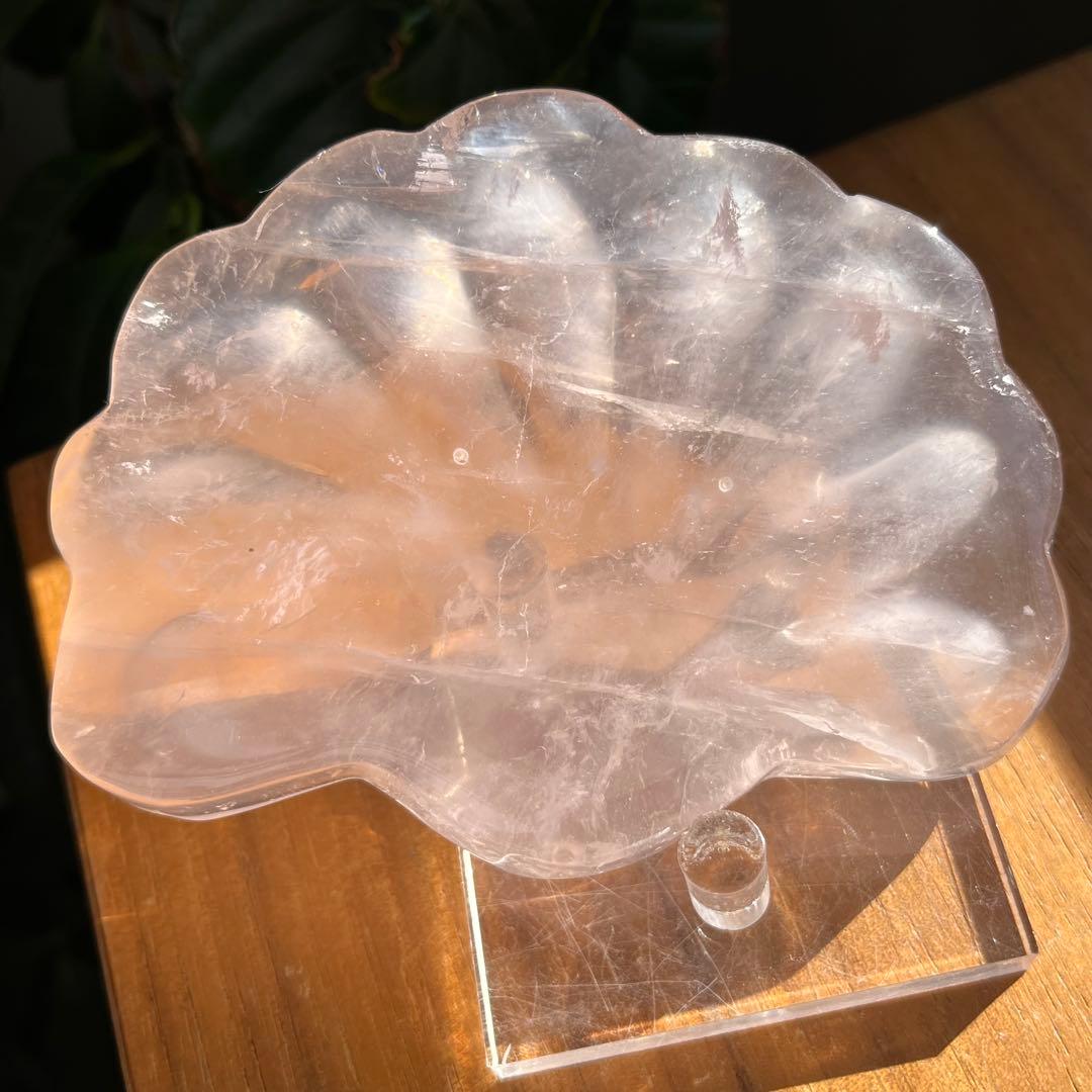 DJピコ2点おまとめ　シェル形お皿、花形お皿