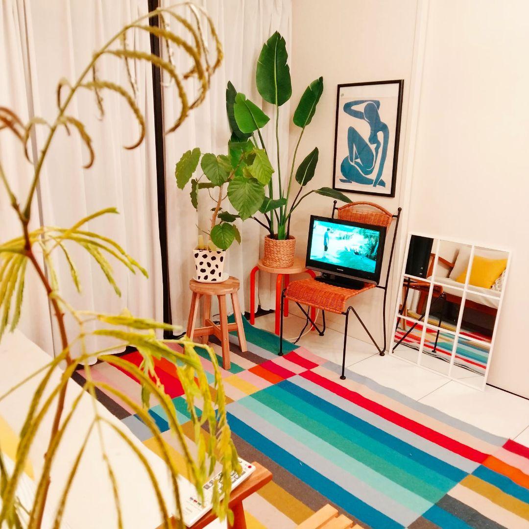 姿見　格子ミラー　壁掛けミラー　海外　店舗