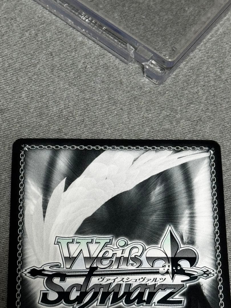 今だけ最安値！サレンディア救護院 サレン＆スズメ （ヴァイス）