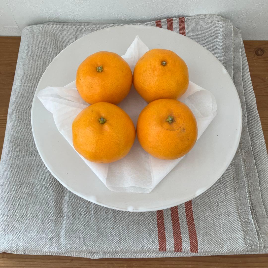 直井真奈美 器 検) 河合竜彦 角田淳 岡田直人 照井壮 田中直純 ハグオーワー