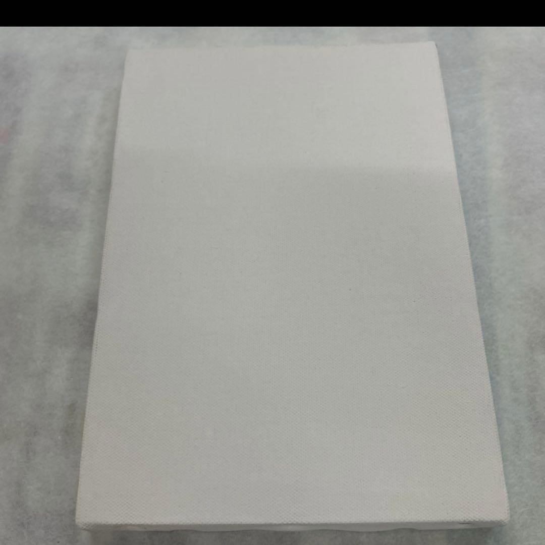 まとめ売り値下げ　クレサンジャパン　キャンバス　SM30枚セット　訳あり　練習用