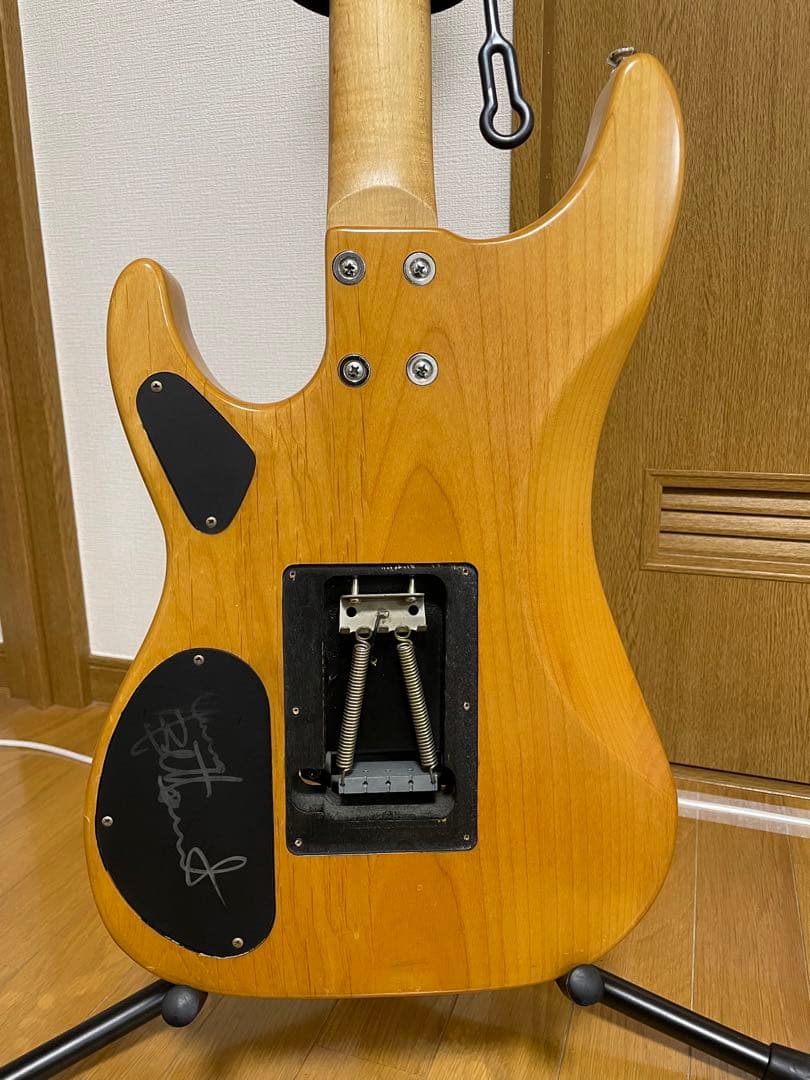 【即購入OK】Washburn N2 サイン入り ヌーノ ベッテンコート