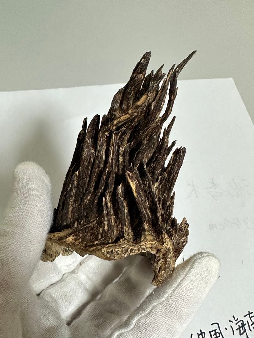 沈香•莞香（高等级绝品老香）