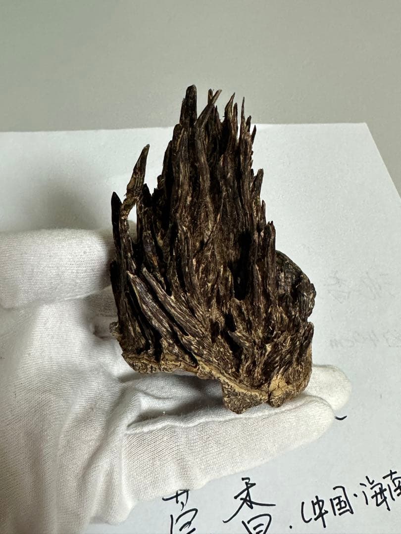 沈香•莞香（高等级绝品老香）