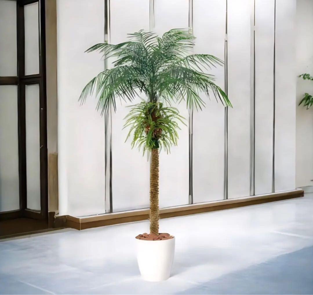 光触媒　人工観葉植物　フェイクグリーン　フェニックス・ロベレニー PLUS