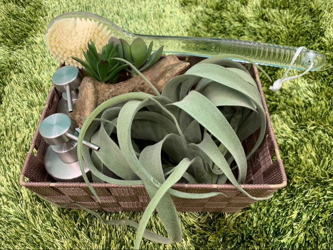 【超お得】ロッソノービレデュフューザー＆インテリア30点以上セット【高級】