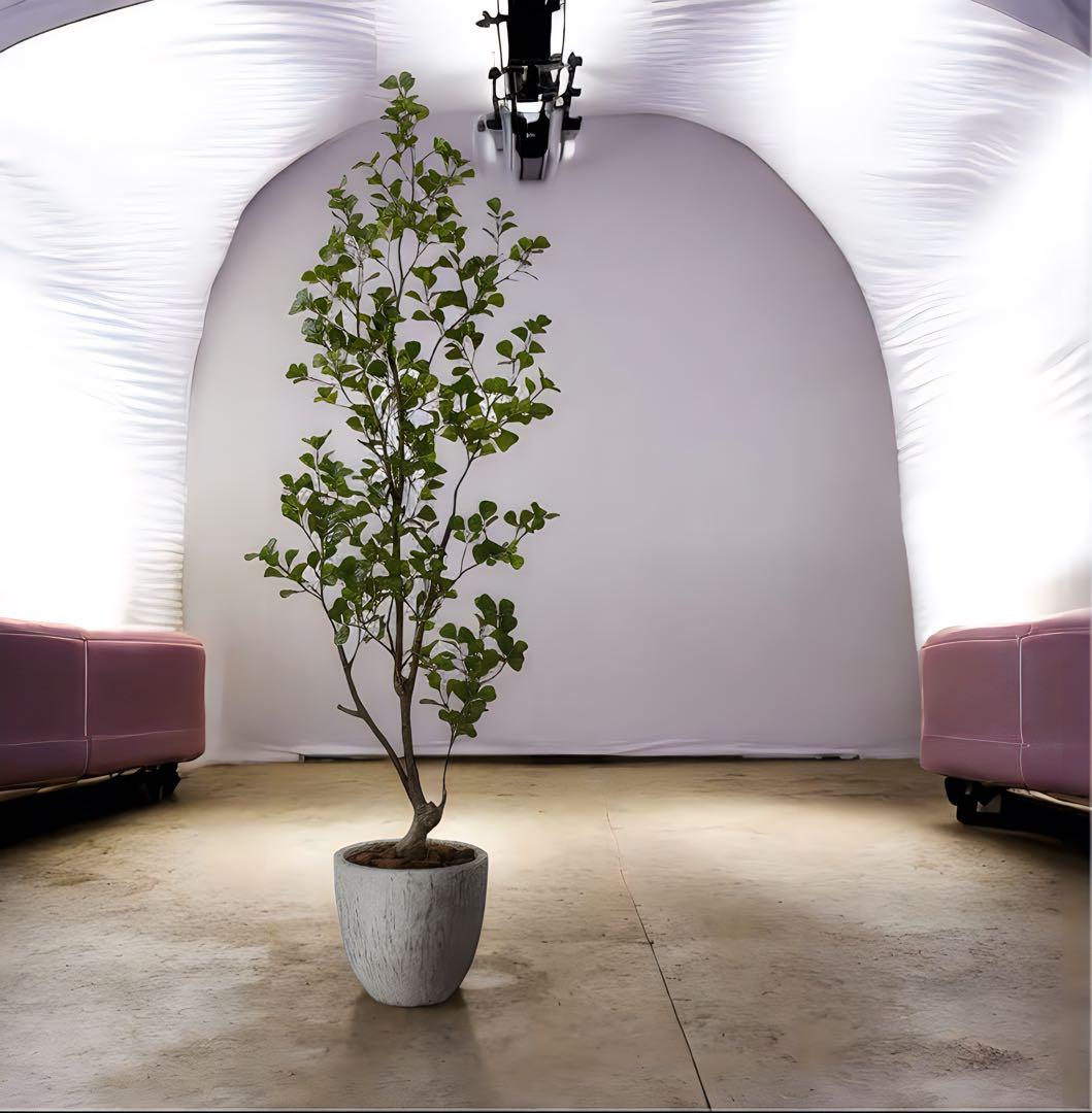 光触媒　人工観葉植物　ウォールグリーン　フェイクグリーン　トライアンギュラス18