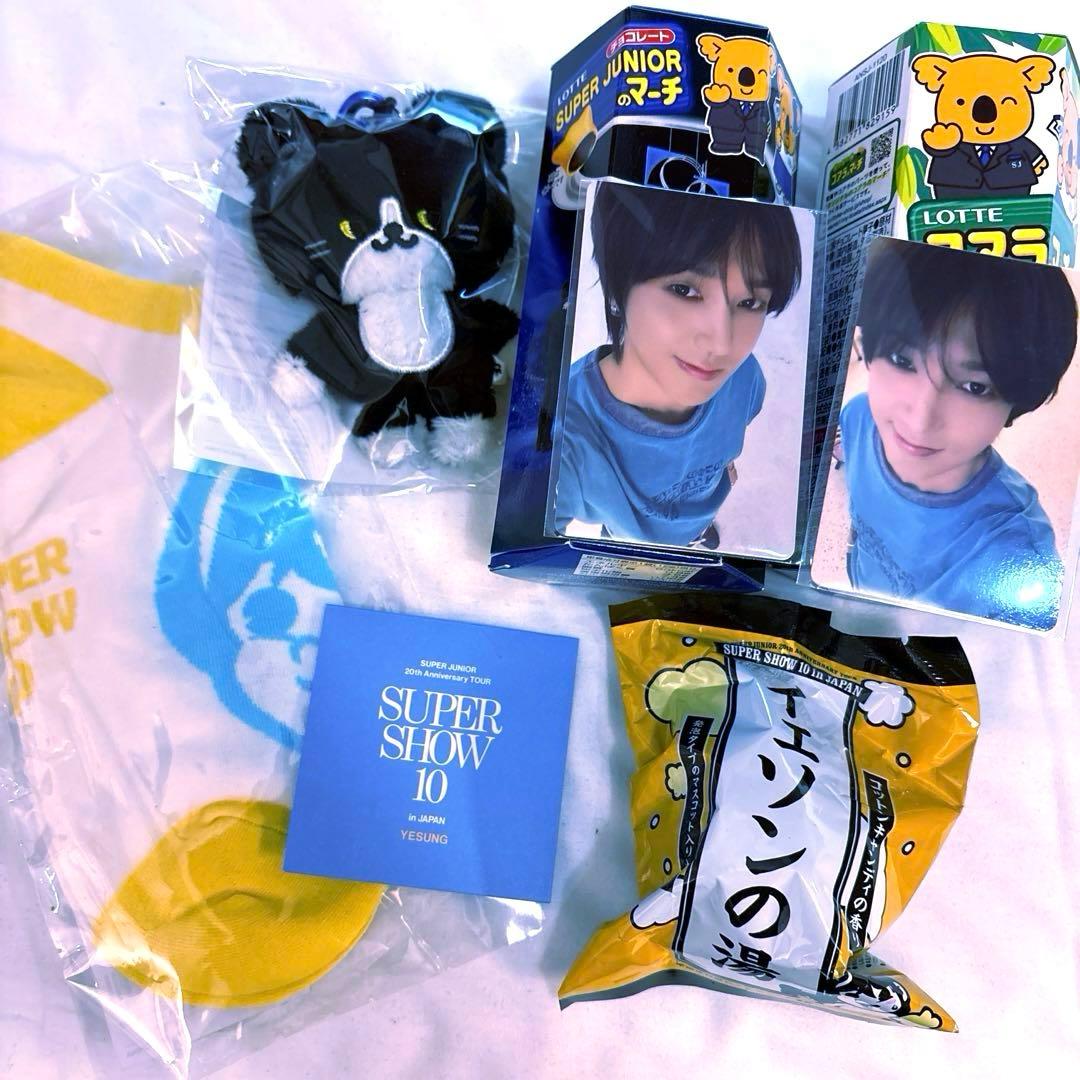 super junior SS10 ぬいぐるみ ランダムトイ トレカ イェソン