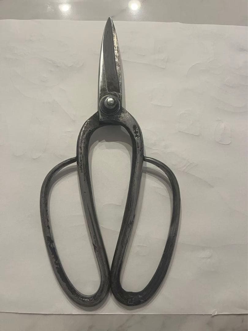 兼由丸 造園 青紙 植木鋏 剪定鋏　植木バサミ　約230mm