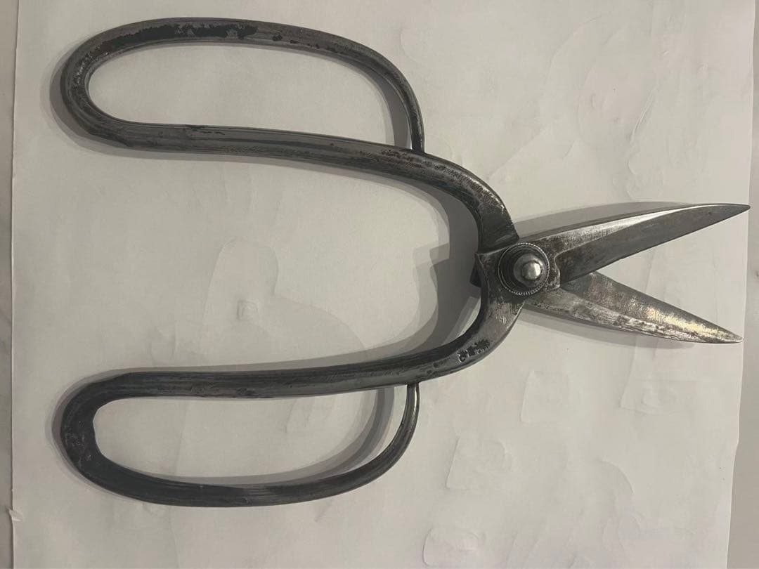 兼由丸 造園 青紙 植木鋏 剪定鋏　植木バサミ　約230mm