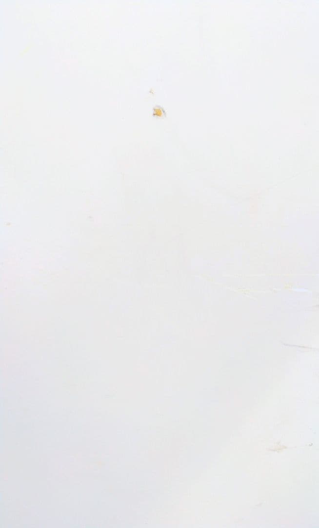 シャビーシック キャビネット 収納棚 アメリカ購入品 送料込み