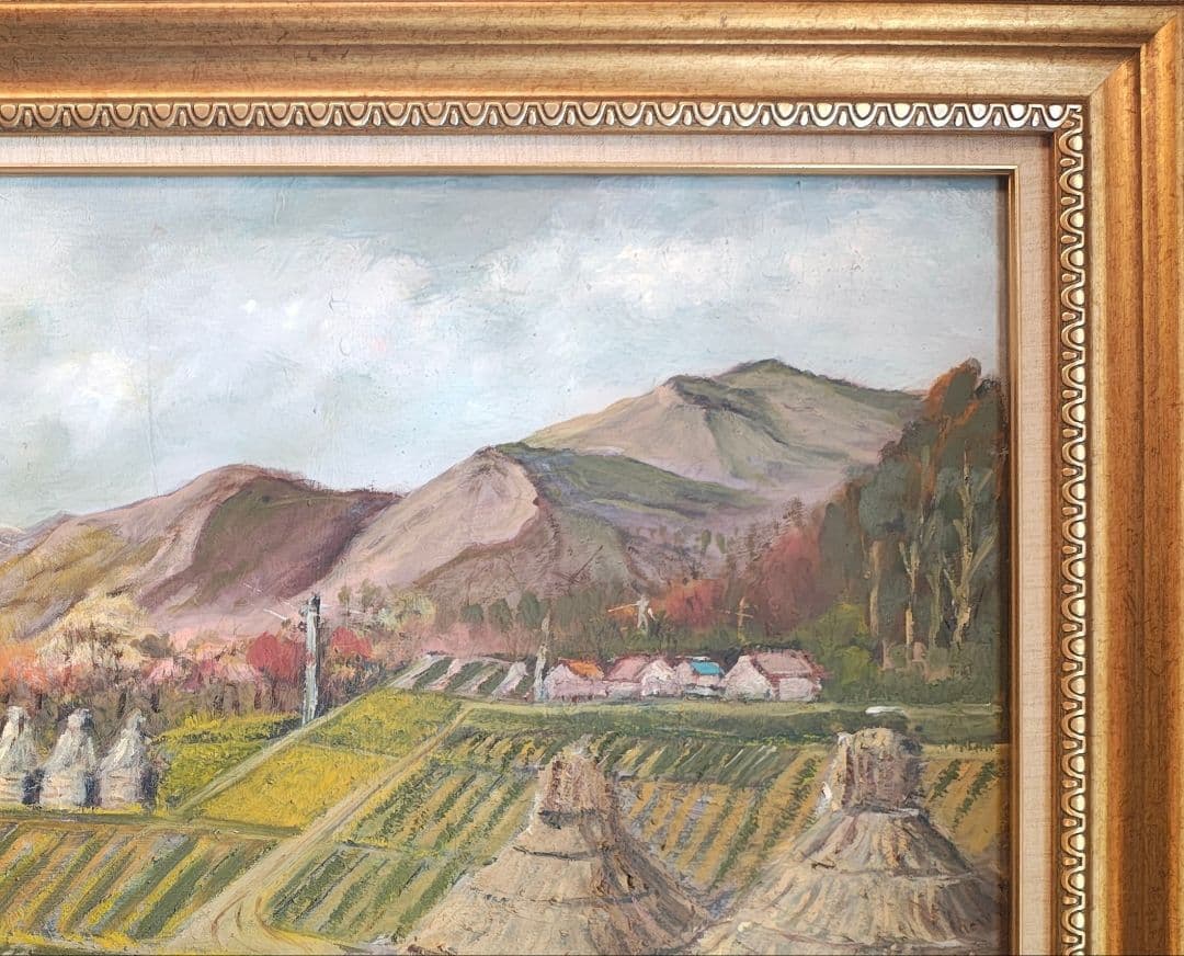 送料込】F30号 重厚ゴールド油彩額縁 白日会・示現会 - メルカリ