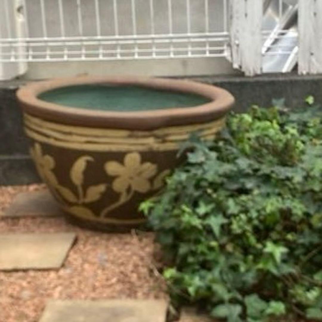 特大　水鉢　メダカ鉢　睡蓮鉢　金魚鉢　陶器製　ガーデニング