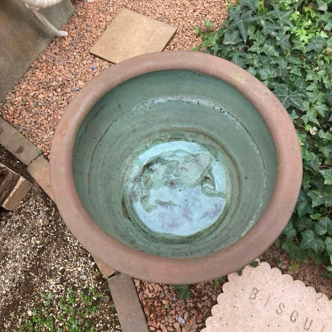 特大　水鉢　メダカ鉢　睡蓮鉢　金魚鉢　陶器製　ガーデニング
