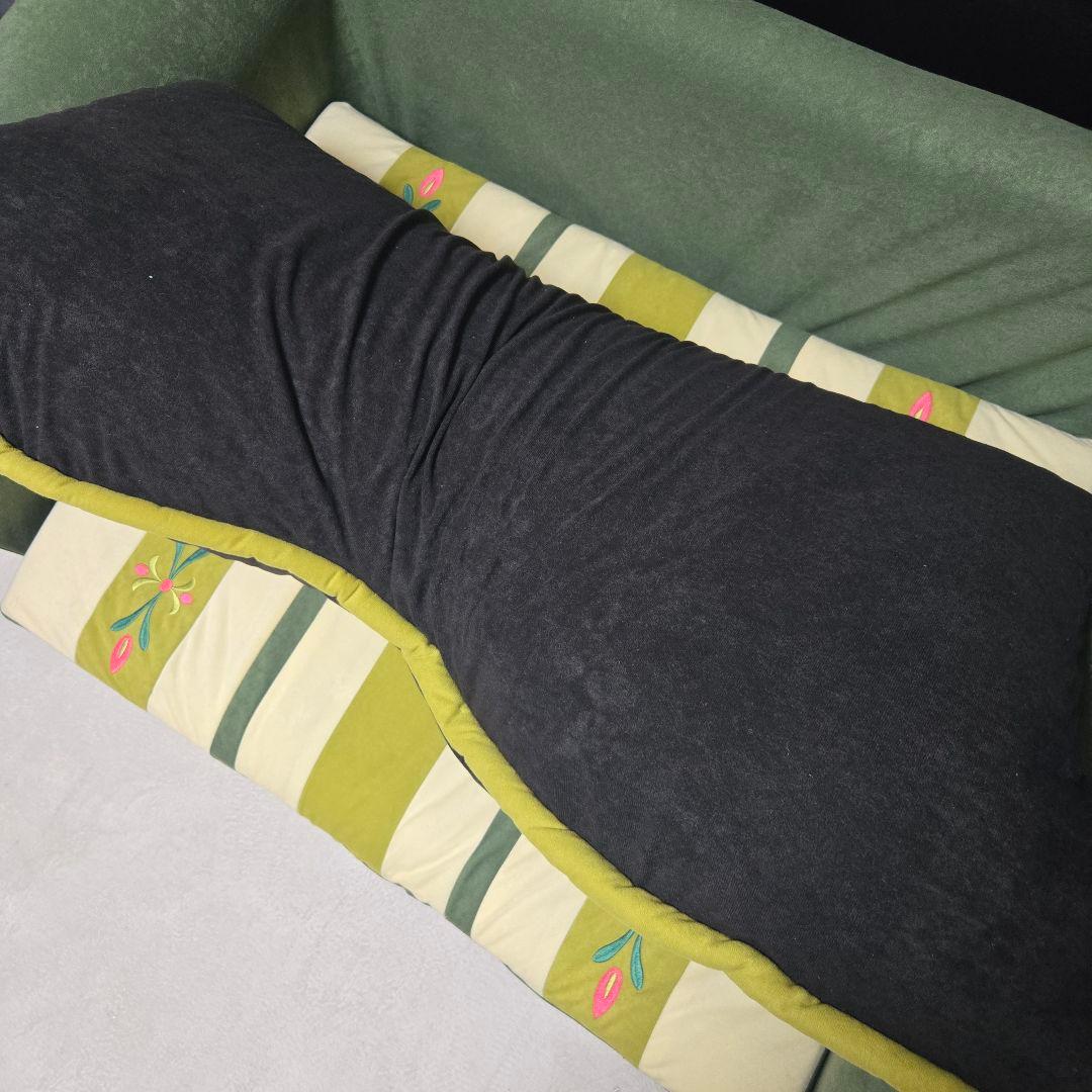 アナと雪の女王 ソファ 2人掛け ディズニー 刺繍デザイン クッション付き