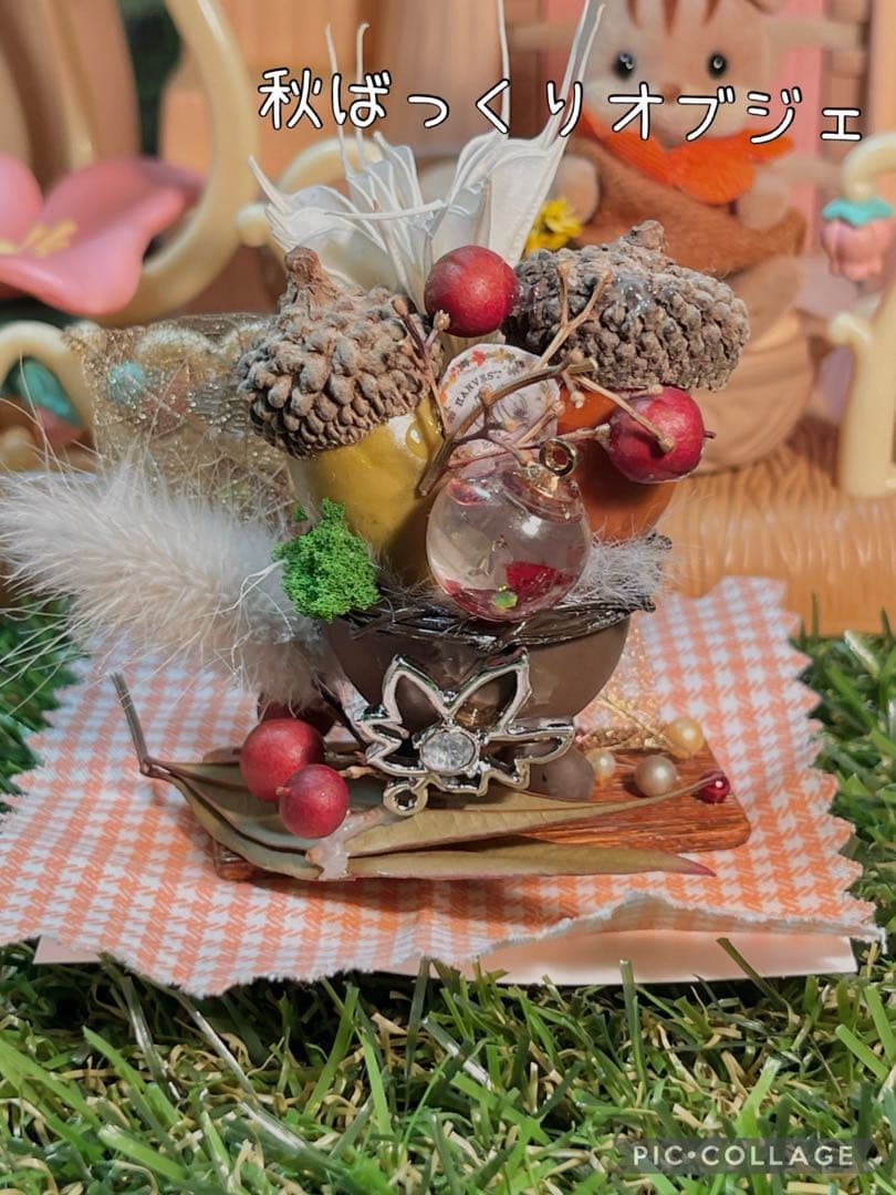 不思議な森の小さな秋みーつけた！どんぐりころころどんぐりAセット