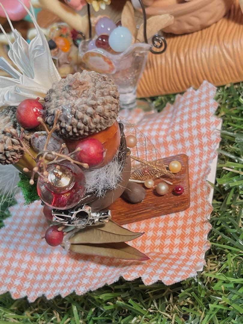 不思議な森の小さな秋みーつけた！どんぐりころころどんぐりAセット