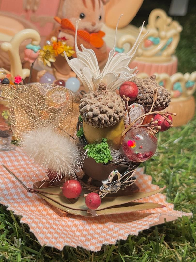 不思議な森の小さな秋みーつけた！どんぐりころころどんぐりAセット