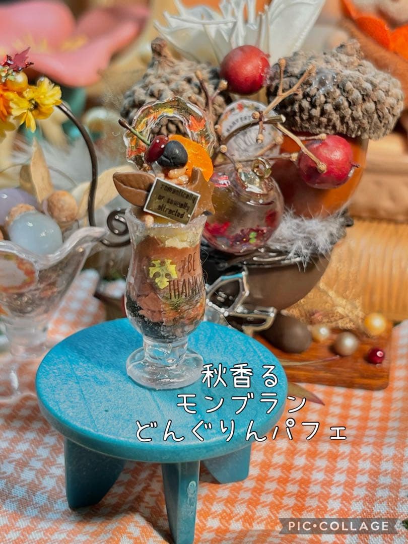 不思議な森の小さな秋みーつけた！どんぐりころころどんぐりAセット