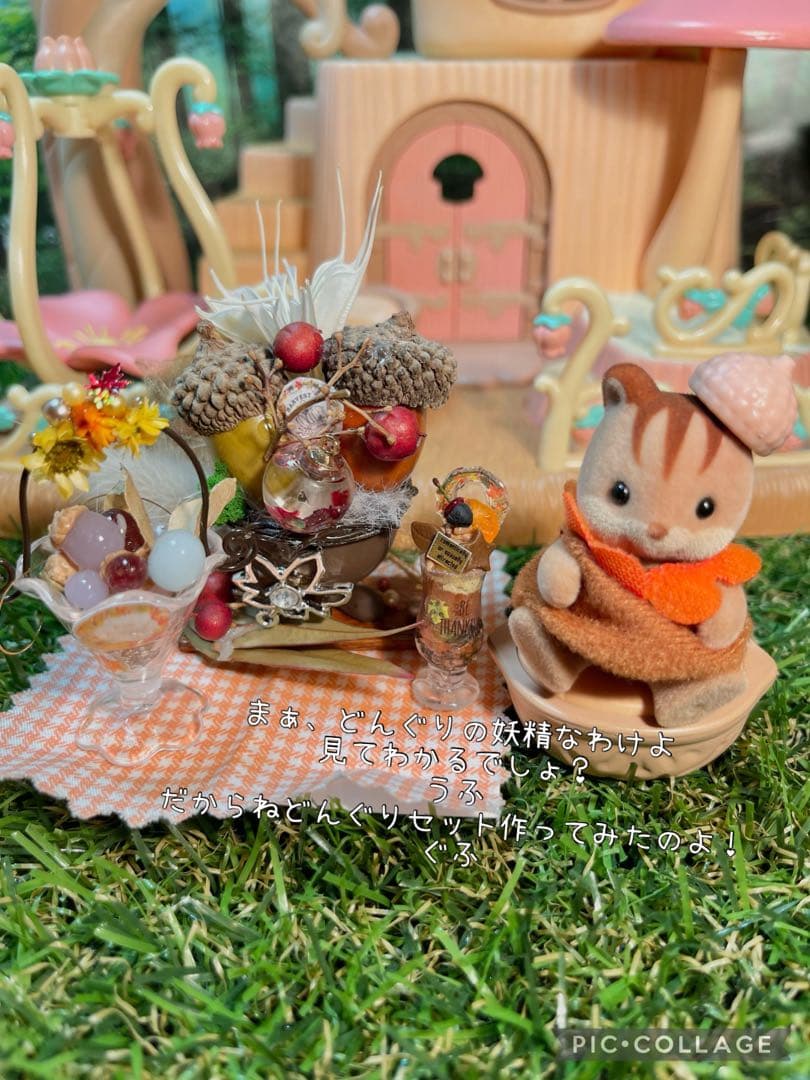 不思議な森の小さな秋みーつけた！どんぐりころころどんぐりAセット