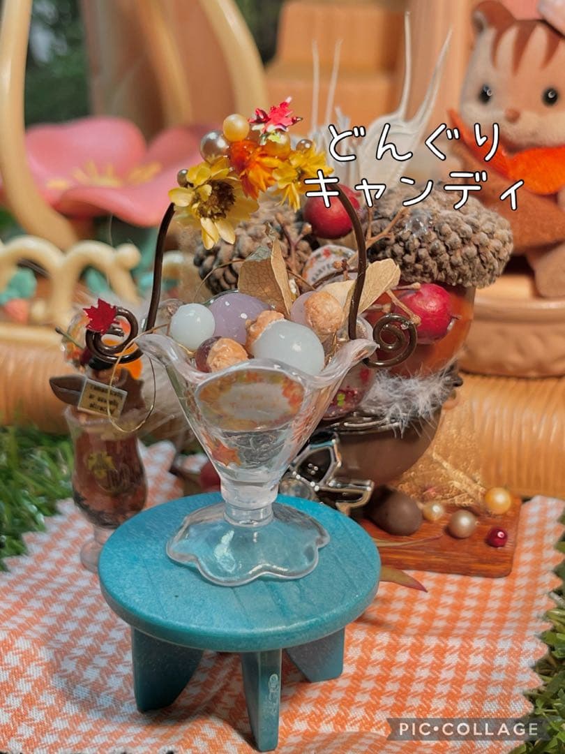 不思議な森の小さな秋みーつけた！どんぐりころころどんぐりAセット