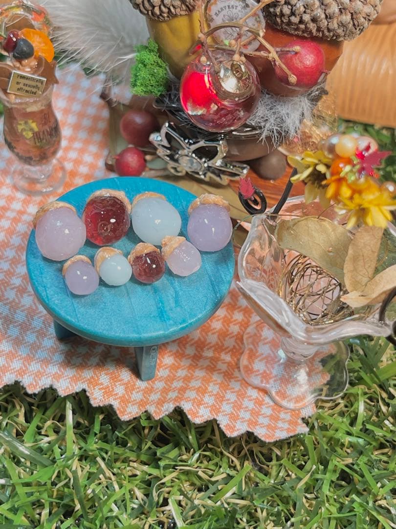 不思議な森の小さな秋みーつけた！どんぐりころころどんぐりAセット