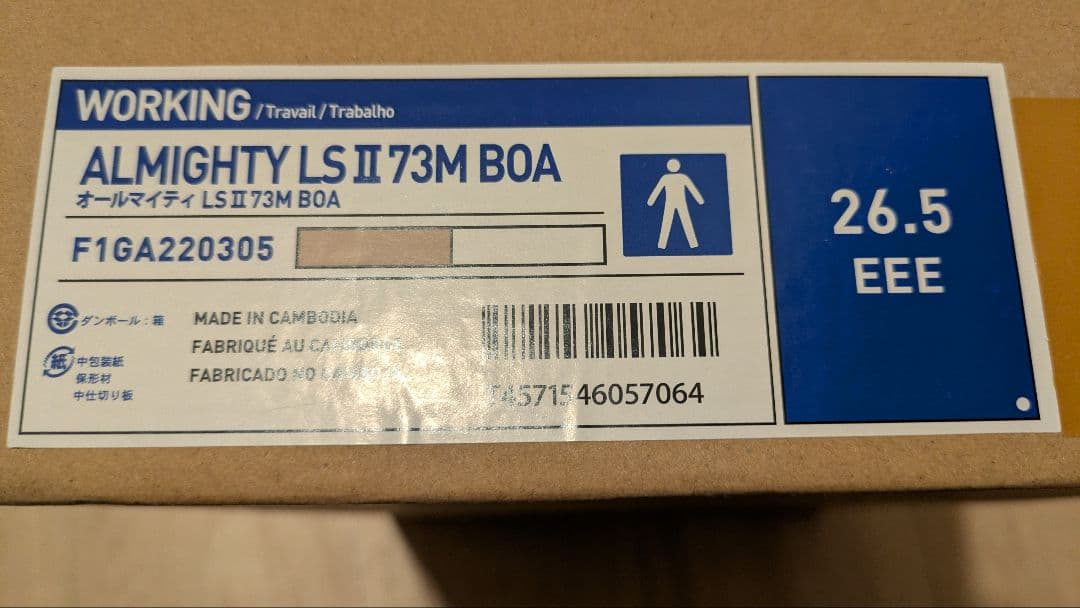 MIZUNO　安全靴　ALMIGHTY LS II 73M BOA　新品未使用