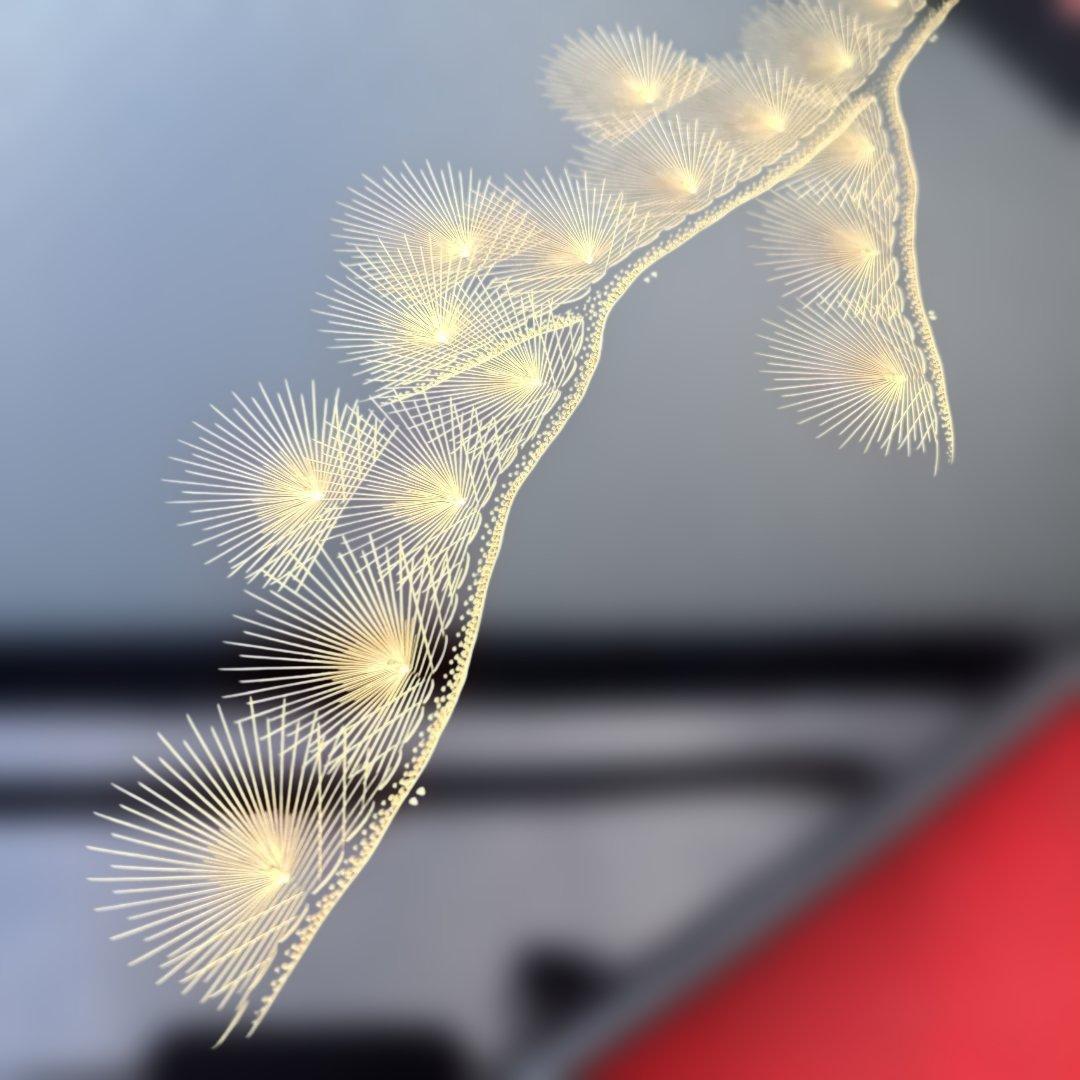 【輪島塗　老舗大雅堂　おもてなし揃】布着本堅地　枝松沈金　鏡面　黒塗　長期保管品