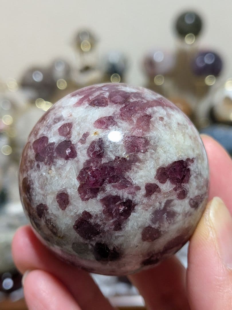 Borders@インフル中評価遅様 リクエスト 8点 まとめ商品 - メルカリ