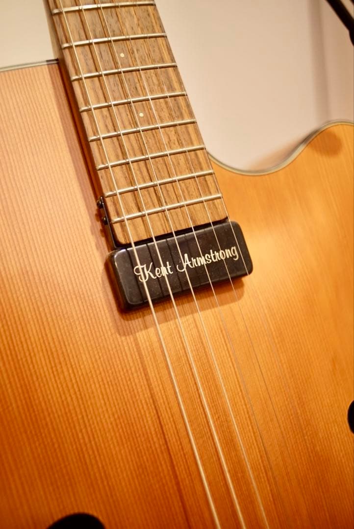 Furch A17-40 フォルヒ フルアコ アーチトップギター